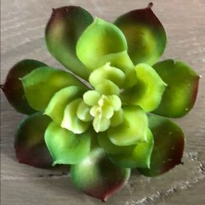 Meet your Posher, Laurie